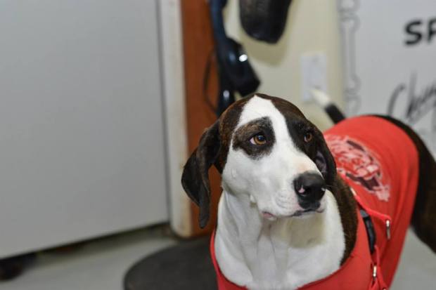 1486750_690474910986024_834241803_n